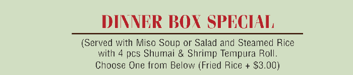Dinner Bento Box
